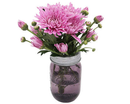 Galvanized Metal Flower Organizer Frog Lid for Mason Jars