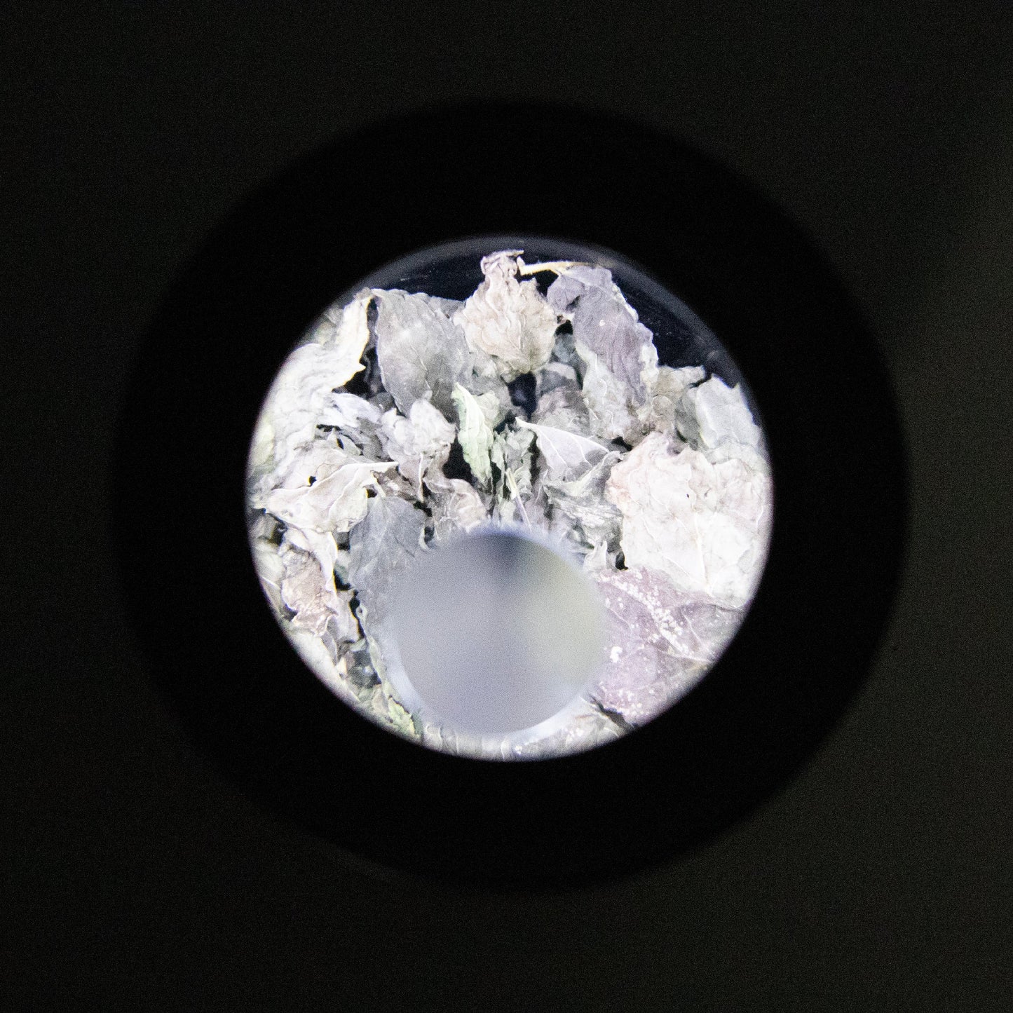 Mason Brite 3.0 Magnifying LED Light Lid Kit