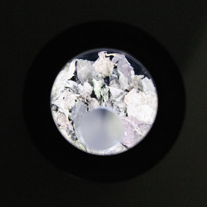 Mason Brite 3.0 Magnifying LED Light Lid Kit