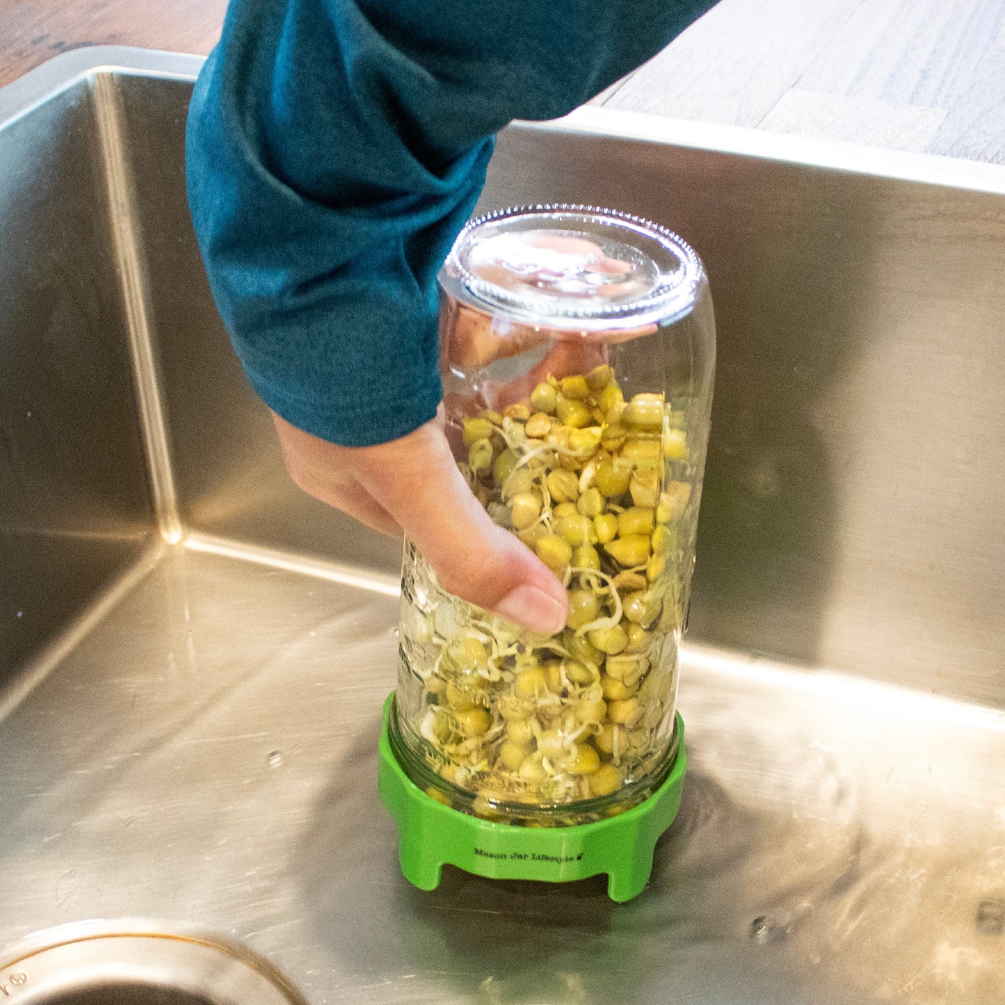 Rust Proof Sprouting Lid with Built-In Stand for Wide Mouth Mason Jars