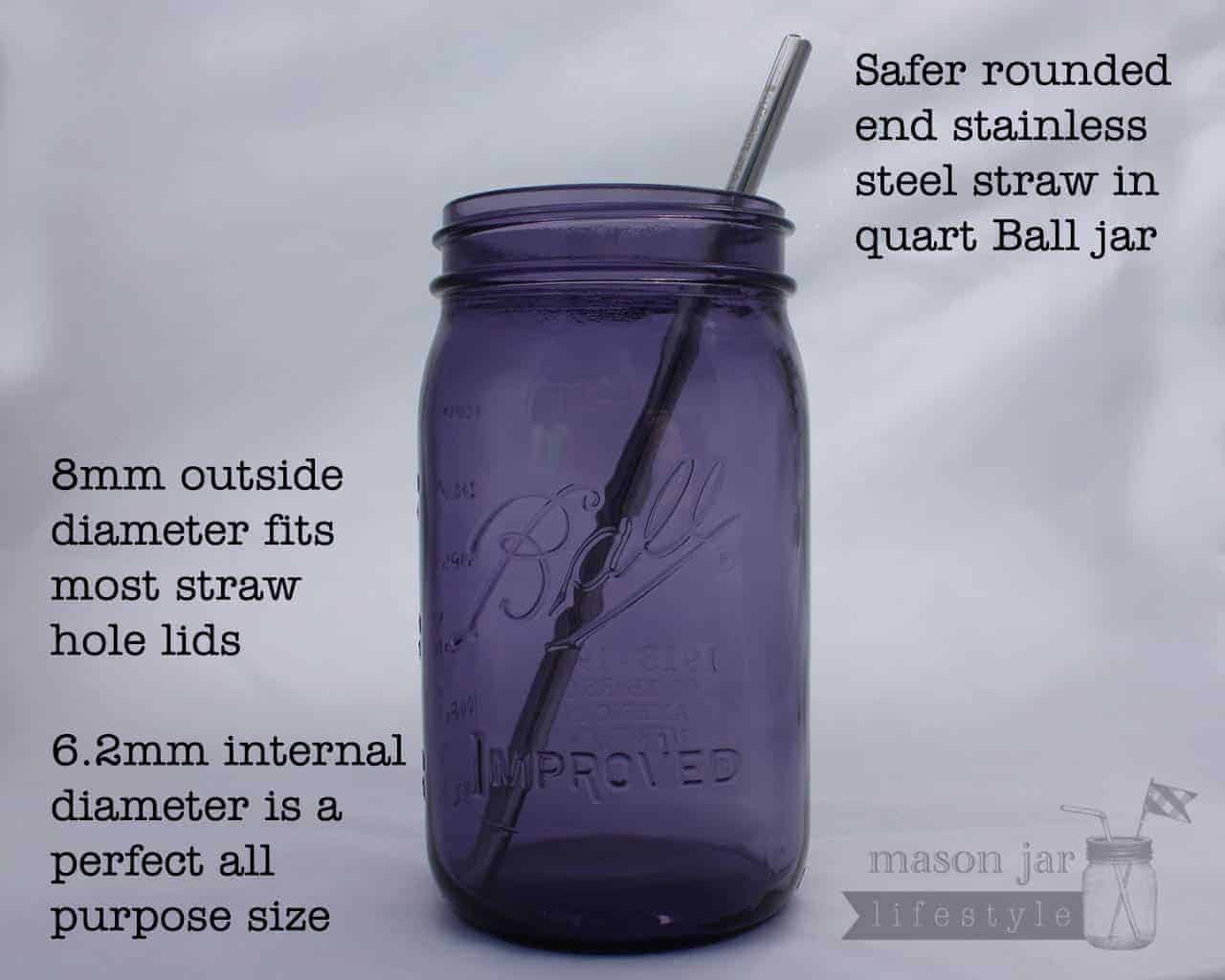 Long 9" Safer Rounded End Stainless Steel Straws for Quart Mason Jars