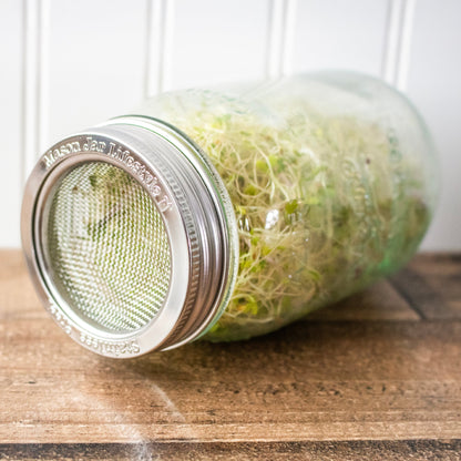 Curved Rust Proof Sprouting Lid and Band for Mason Jars