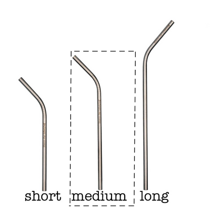 Individual Stainless Steel & Glass Straws for Mason Jars